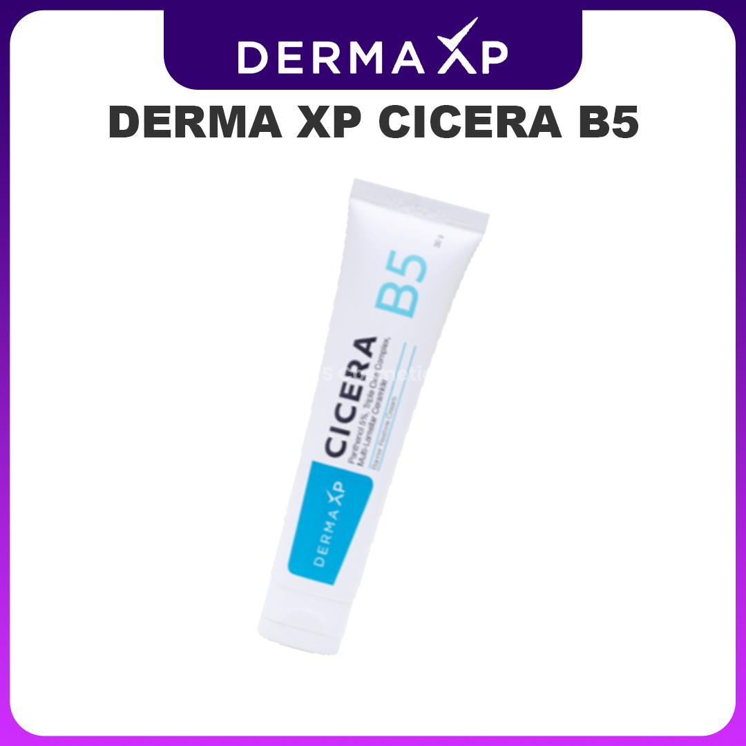 desain produk derma xp Cicera B5 derma xp Cicera B5